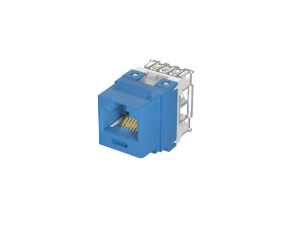 NetKey Cat 6 Keystone Punchdown Jack Module, Blue